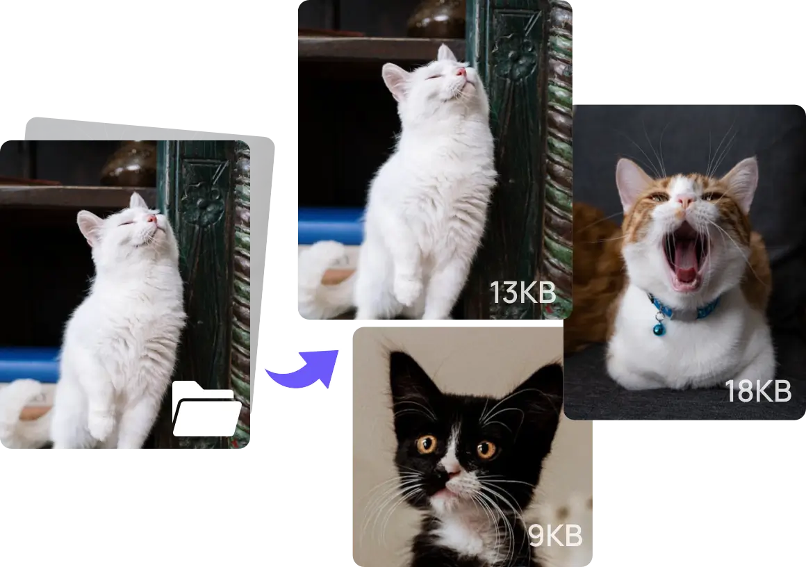 image size compressor