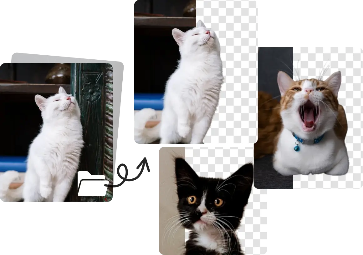 Удаление фона для Amazon