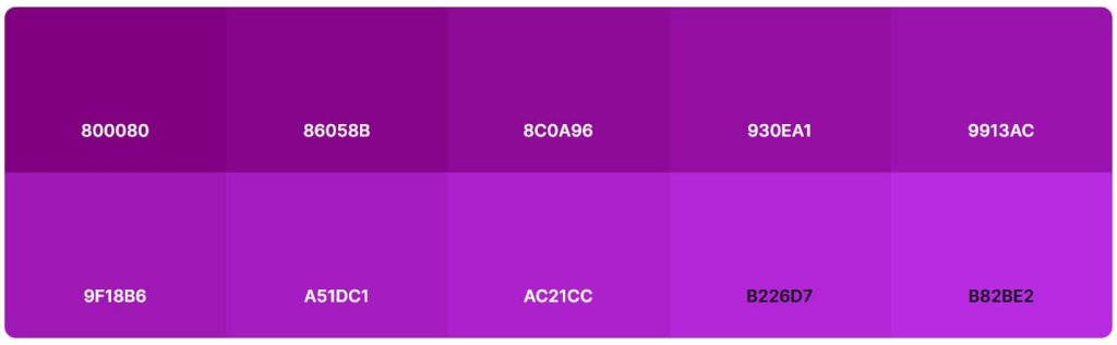 Purple Aesthetic Color